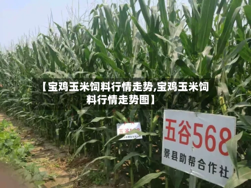 【宝鸡玉米饲料行情走势,宝鸡玉米饲料行情走势图】