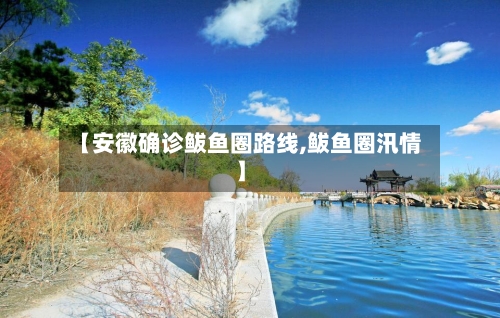 【安徽确诊鲅鱼圈路线,鲅鱼圈汛情】