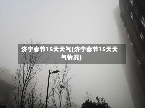济宁春节15天天气(济宁春节15天天气情况)