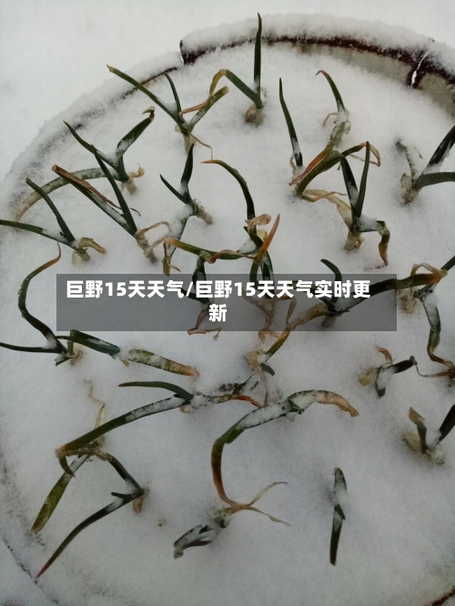 巨野15天天气/巨野15天天气实时更新