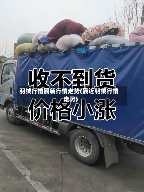 羽绒行情最新行情走势(最近羽绒行情走势)