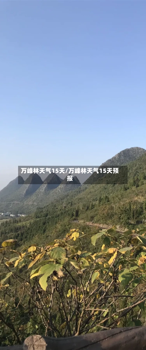 万峰林天气15天/万峰林天气15天预报