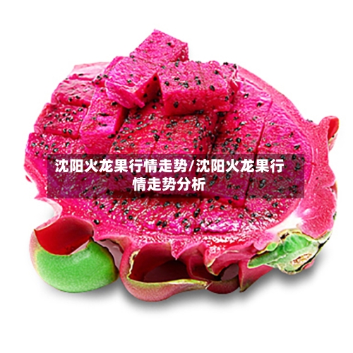 沈阳火龙果行情走势/沈阳火龙果行情走势分析