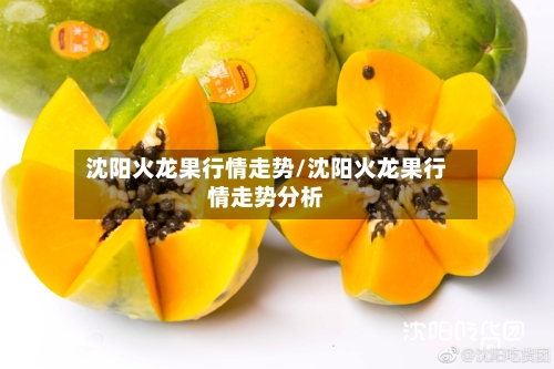 沈阳火龙果行情走势/沈阳火龙果行情走势分析