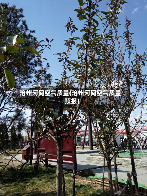 沧州河间空气质量(沧州河间空气质量预报)