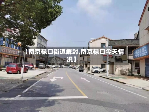 【南京禄口街道解封,南京禄口今天情况】