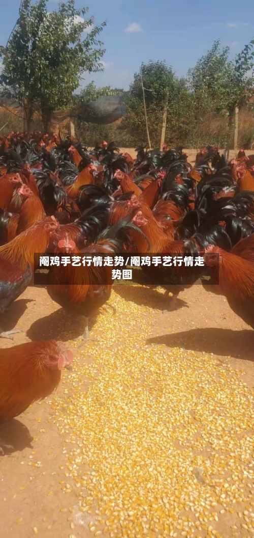 阉鸡手艺行情走势/阉鸡手艺行情走势图