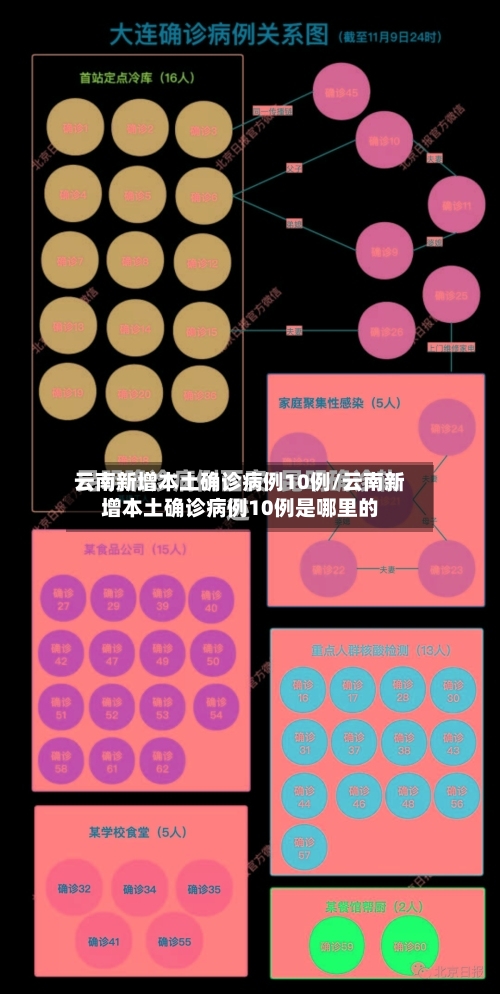 云南新增本土确诊病例10例/云南新增本土确诊病例10例是哪里的