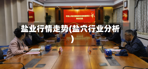 盐业行情走势(盐穴行业分析)