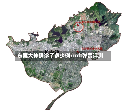 东莞大体确诊了多少例/mft弹簧评测