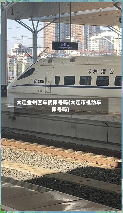 大连金州区车辆限号吗(大连市机动车限号吗)