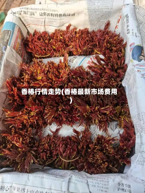 香椿行情走势(香椿最新市场费用)