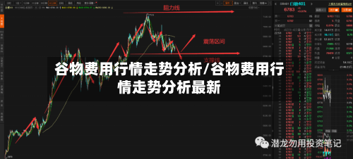 谷物费用行情走势分析/谷物费用行情走势分析最新