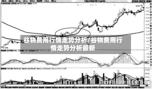 谷物费用行情走势分析/谷物费用行情走势分析最新