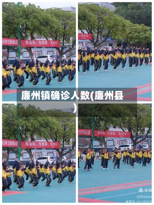 廉州镇确诊人数(廉州县)
