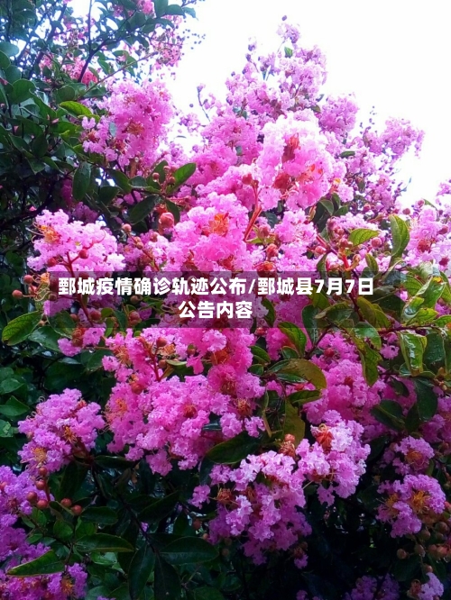 鄄城疫情确诊轨迹公布/鄄城县7月7日公告内容