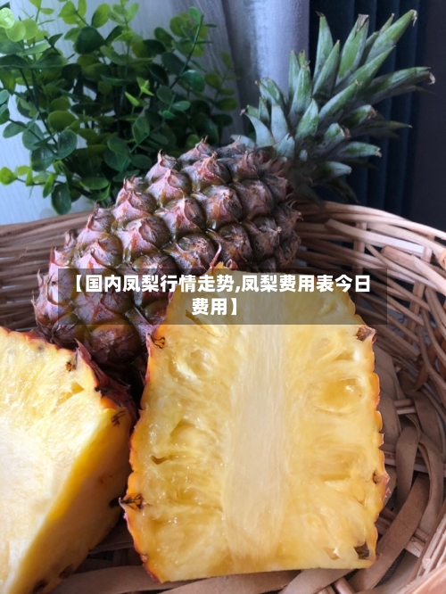 【国内凤梨行情走势,凤梨费用表今日费用】