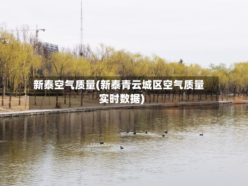 新泰空气质量(新泰青云城区空气质量实时数据)