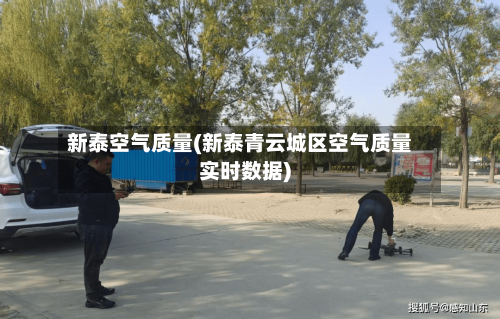 新泰空气质量(新泰青云城区空气质量实时数据)