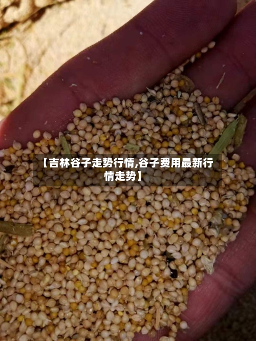 【吉林谷子走势行情,谷子费用最新行情走势】