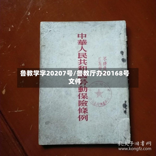 鲁教学字20207号/鲁教厅办20168号文件