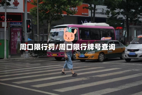 周口限行罚/周口限行牌号查询