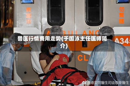 兽医行情费用走势(于国泳主任医师简介)