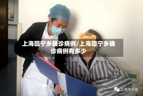 上海回宁乡确诊病例/上海回宁乡确诊病例有多少