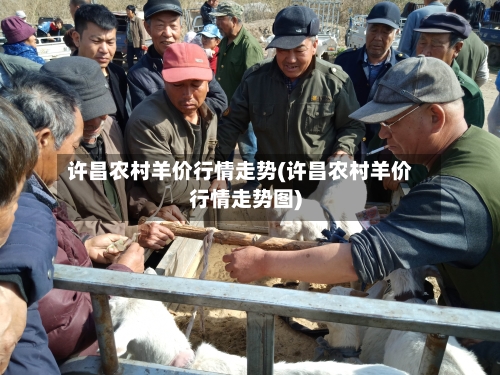 许昌农村羊价行情走势(许昌农村羊价行情走势图)