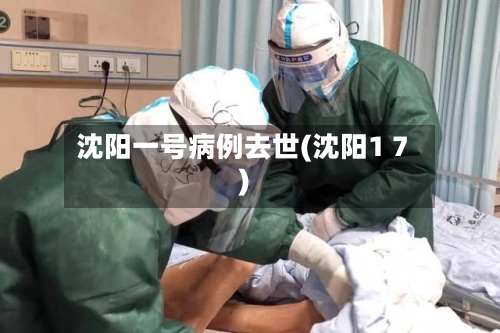 沈阳一号病例去世(沈阳1 7)