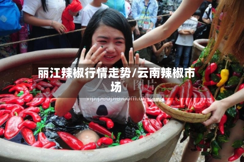 丽江辣椒行情走势/云南辣椒市场