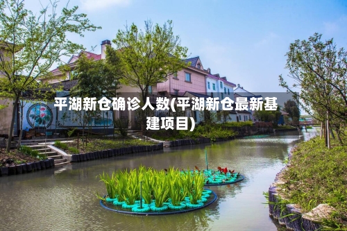 平湖新仓确诊人数(平湖新仓最新基建项目)