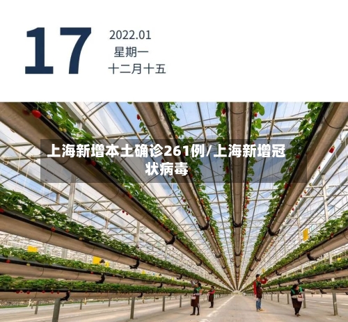 上海新增本土确诊261例/上海新增冠状病毒