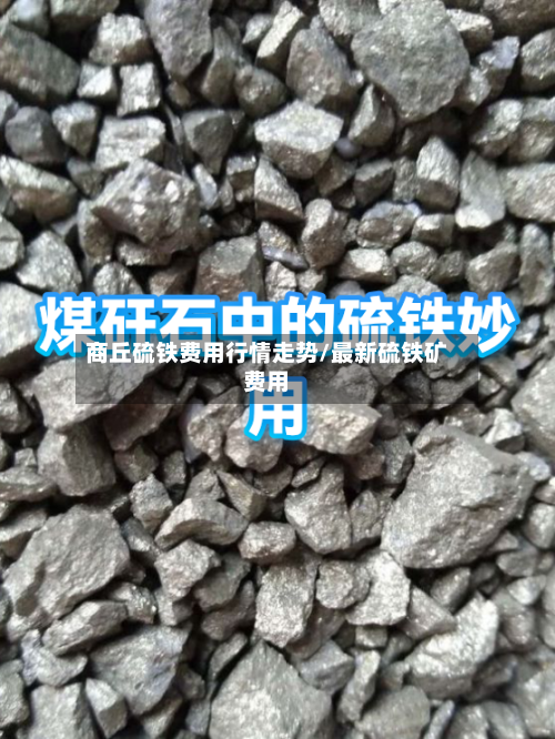 商丘硫铁费用行情走势/最新硫铁矿费用