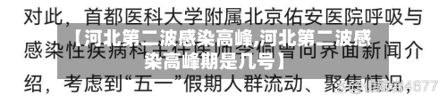 【河北第二波感染高峰,河北第二波感染高峰期是几号】