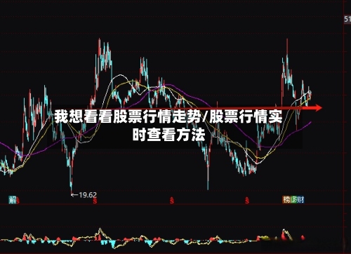 我想看看股票行情走势/股票行情实时查看方法