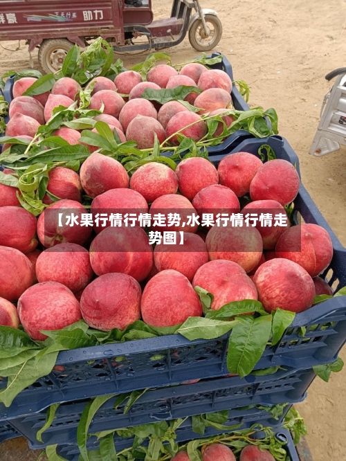【水果行情行情走势,水果行情行情走势图】