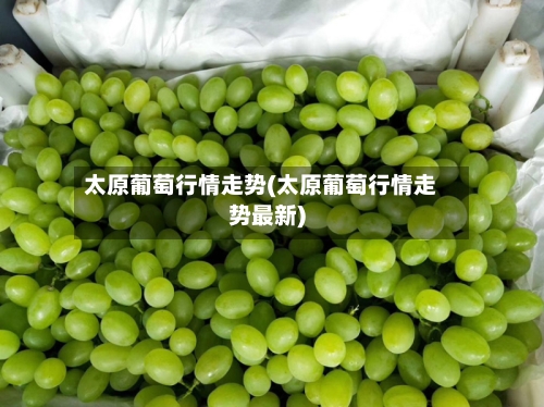 太原葡萄行情走势(太原葡萄行情走势最新)
