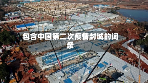 包含中国第二次疫情封城的词条