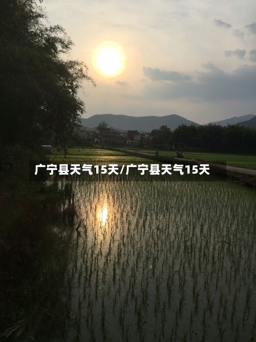 广宁县天气15天/广宁县天气15天