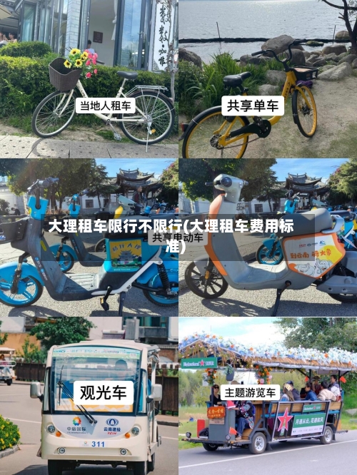 大理租车限行不限行(大理租车费用标准)
