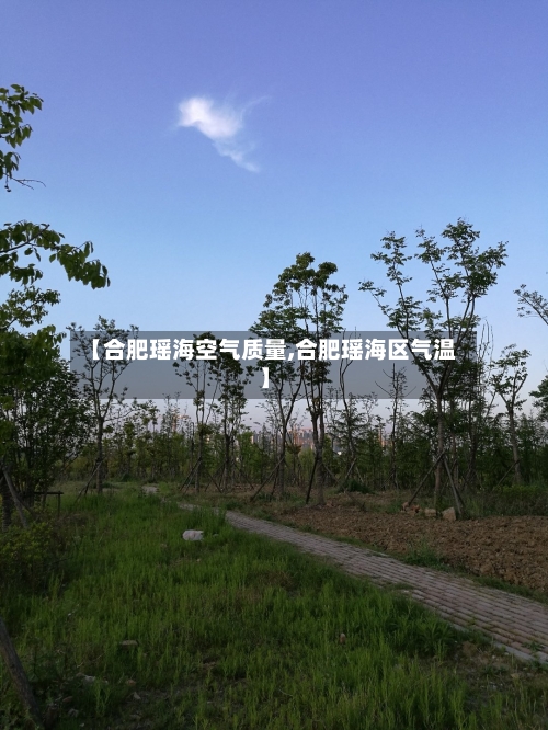 【合肥瑶海空气质量,合肥瑶海区气温】