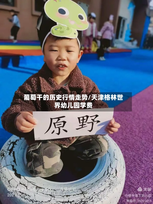葡萄干的历史行情走势/天津格林世界幼儿园学费