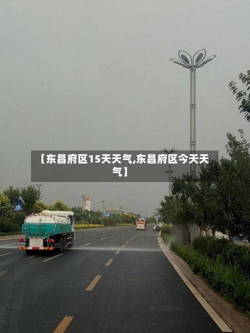 【东昌府区15天天气,东昌府区今天天气】