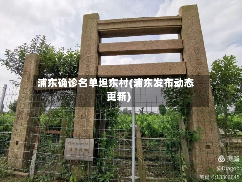 浦东确诊名单坦东村(浦东发布动态更新)