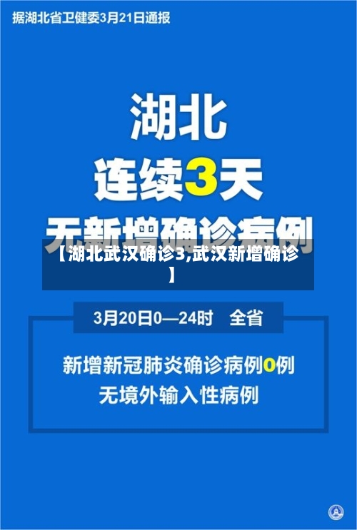【湖北武汉确诊3,武汉新增确诊】