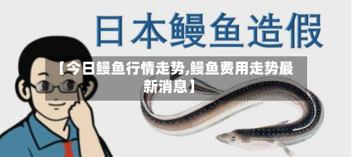 【今日鳗鱼行情走势,鳗鱼费用走势最新消息】