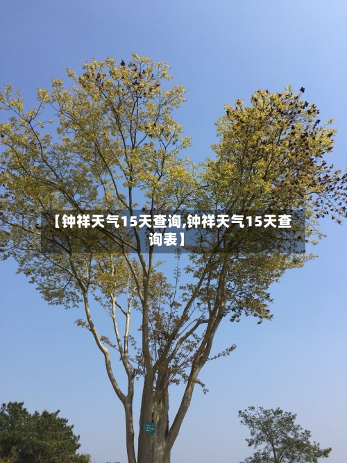【钟祥天气15天查询,钟祥天气15天查询表】