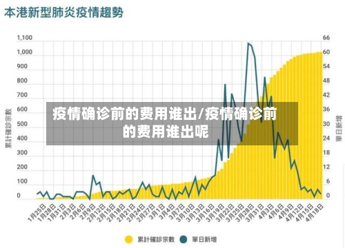 疫情确诊前的费用谁出/疫情确诊前的费用谁出呢