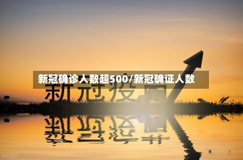 新冠确诊人数超500/新冠确证人数